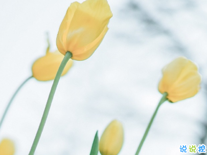 女生可愛說說幽默搞笑配圖片 只要肯努力沒什么事搞不砸的5