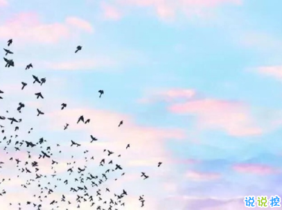 女生可愛說說幽默搞笑配圖片 只要肯努力沒什么事搞不砸的11