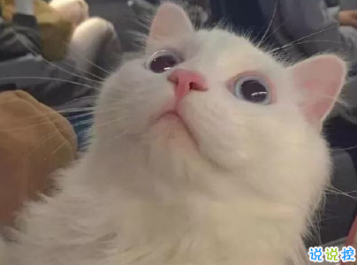 女生可愛說說幽默搞笑配圖片 只要肯努力沒什么事搞不砸的15