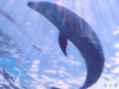 八月你好說說唯美句子配圖 2019最新八月說說好聽的句子3