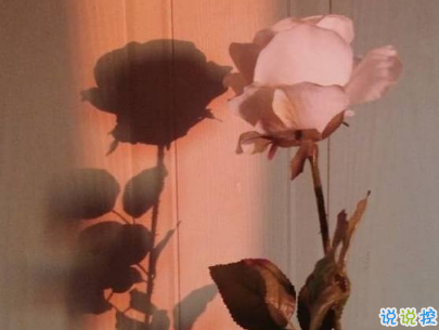 八月你好說說唯美句子配圖 2019最新八月說說好聽的句子10