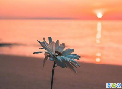 2019八月哲理說(shuō)說(shuō)心情短語(yǔ) 新的八月新的開始哲理句子2