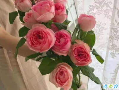 夏天的干凈句子帶圖片 女生夏季心情說說小清新12