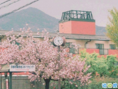 夏天的干凈句子帶圖片 女生夏季心情說說小清新6