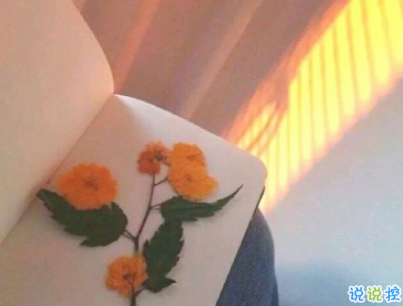 夏天的干凈句子帶圖片 女生夏季心情說說小清新9