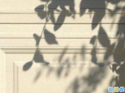 夏天的干凈句子帶圖片 女生夏季心情說說小清新4