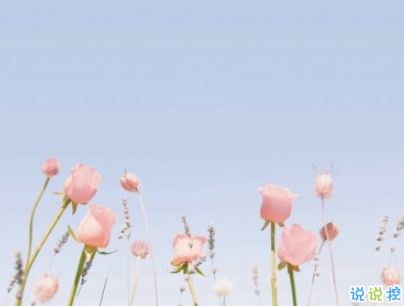 抖音最火愛情說說經(jīng)典語錄配圖 情深是你白首也是你11