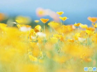 抖音最火愛情說說經(jīng)典語錄配圖 情深是你白首也是你14