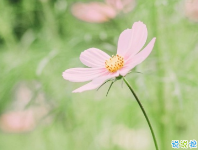 2019八月你好經(jīng)典勵(lì)志說(shuō)說(shuō)帶圖片 全新勵(lì)志說(shuō)說(shuō)致自己5