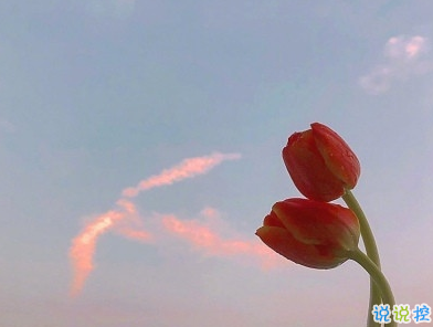 熱戀時(shí)候說(shuō)的感人情話帶圖片 戀愛(ài)中超甜的說(shuō)說(shuō)精選15