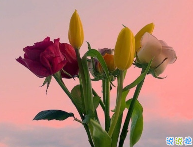 熱戀時(shí)候說(shuō)的感人情話帶圖片 戀愛(ài)中超甜的說(shuō)說(shuō)精選8