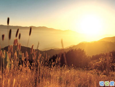 七夕傷感說(shuō)說(shuō)配圖2019 七夕很憂(yōu)傷的心情短語(yǔ)帶圖片11