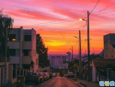 七夕檸檬文案大賽 2019七夕單身狗說說帶圖片12