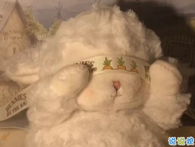 七夕檸檬文案大賽 2019七夕單身狗說說帶圖片11