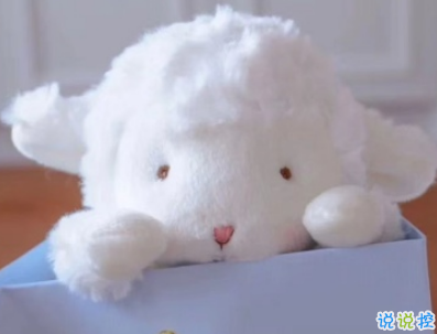 七夕檸檬文案大賽 2019七夕單身狗說說帶圖片4