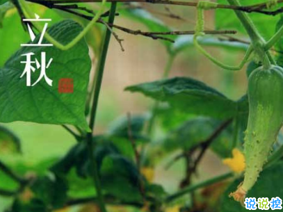 立秋朋友圈說說帶圖片 2019立秋節(jié)氣經(jīng)典說說5