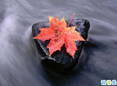 立秋朋友圈說說帶圖片 2019立秋節(jié)氣經(jīng)典說說2