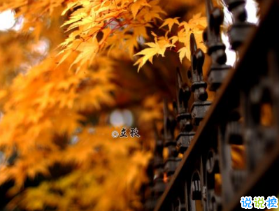 立秋朋友圈說說帶圖片 2019立秋節(jié)氣經(jīng)典說說12