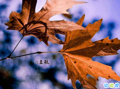 立秋朋友圈說說帶圖片 2019立秋節(jié)氣經(jīng)典說說1