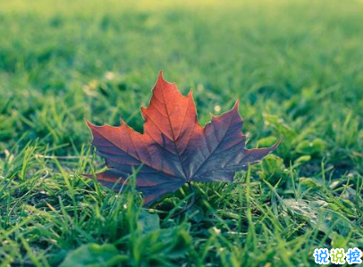 立秋朋友圈說說帶圖片 2019立秋節(jié)氣經(jīng)典說說13