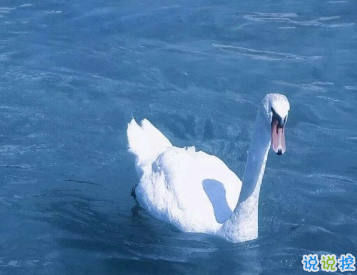 抖音精辟的哲理短句 青春路上教會(huì)你成長(zhǎng)的哲理句子2