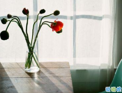 最新勵志晚安說說致自己配圖 越努力的人才會越幸運12