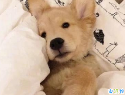 頭發(fā)掉得厲害的搞笑說(shuō)說(shuō) 朋友圈脫發(fā)說(shuō)說(shuō)幽默一句話2