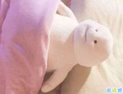 很有意思的朋友圈說說帶圖片 有格調(diào)吸引人的微信說說3