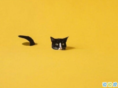 很有意思的朋友圈說說帶圖片 有格調(diào)吸引人的微信說說14