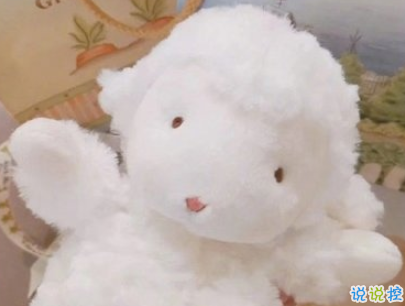 閨蜜一起發(fā)的朋友圈說說配圖 超吸引人的閨蜜說說簡短精辟12