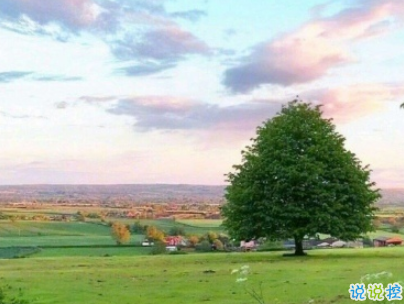 溫柔干凈的唯美句子配圖  適合女生說說唯美文字控10