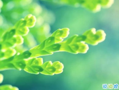 最新朋友圈說說陽光溫暖 聽起來很舒服輕松的句子1