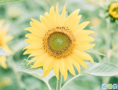 微信朋友圈早安問(wèn)候語(yǔ)經(jīng)典 早安全世界的說(shuō)說(shuō)5