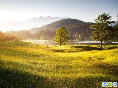 微信朋友圈早安問(wèn)候語(yǔ)經(jīng)典 早安全世界的說(shuō)說(shuō)14