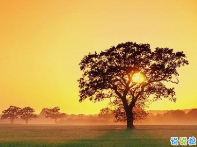 微信朋友圈早安問(wèn)候語(yǔ)經(jīng)典 早安全世界的說(shuō)說(shuō)6