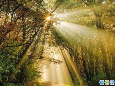 微信朋友圈早安問(wèn)候語(yǔ)經(jīng)典 早安全世界的說(shuō)說(shuō)10