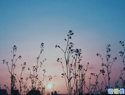 朋友圈唯美勵志語錄配圖 最新一句話說說勵志大全8