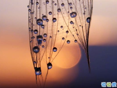 朋友圈唯美勵志語錄配圖 最新一句話說說勵志大全4