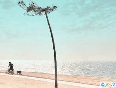 朋友圈唯美勵志語錄配圖 最新一句話說說勵志大全1