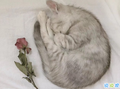 qq空間愛情說說帶圖片 唯美文藝的愛情句子8