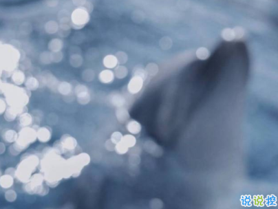 qq空間愛情說說帶圖片 唯美文藝的愛情句子4