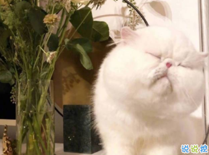 qq空間愛情說說帶圖片 唯美文藝的愛情句子3