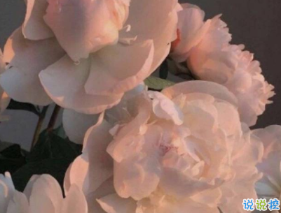 qq空間愛情說說帶圖片 唯美文藝的愛情句子6