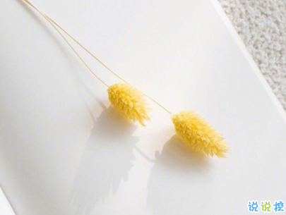 qq空間愛情說說帶圖片 唯美文藝的愛情句子7