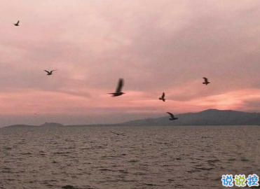 經(jīng)典晚安心語致自己 簡短經(jīng)典語錄晚安說說2