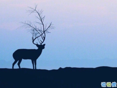 喜歡卻得不到的傷感說說帶圖片 你是否有過同樣的的感受15