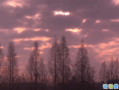 喜歡卻得不到的傷感說說帶圖片 你是否有過同樣的的感受9