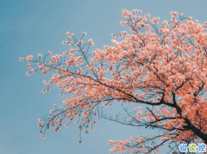 文藝經(jīng)典語錄帶圖片 適合女生的簡單文藝風(fēng)說說11