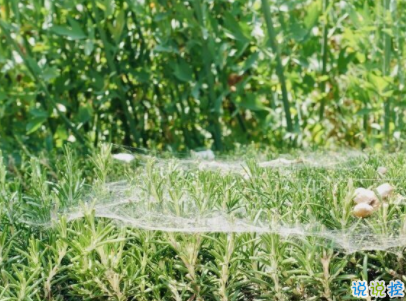 文藝經(jīng)典語錄帶圖片 適合女生的簡單文藝風(fēng)說說7