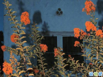 九月微信說說簡(jiǎn)短帶圖片 迎接九月的唯美句子20195